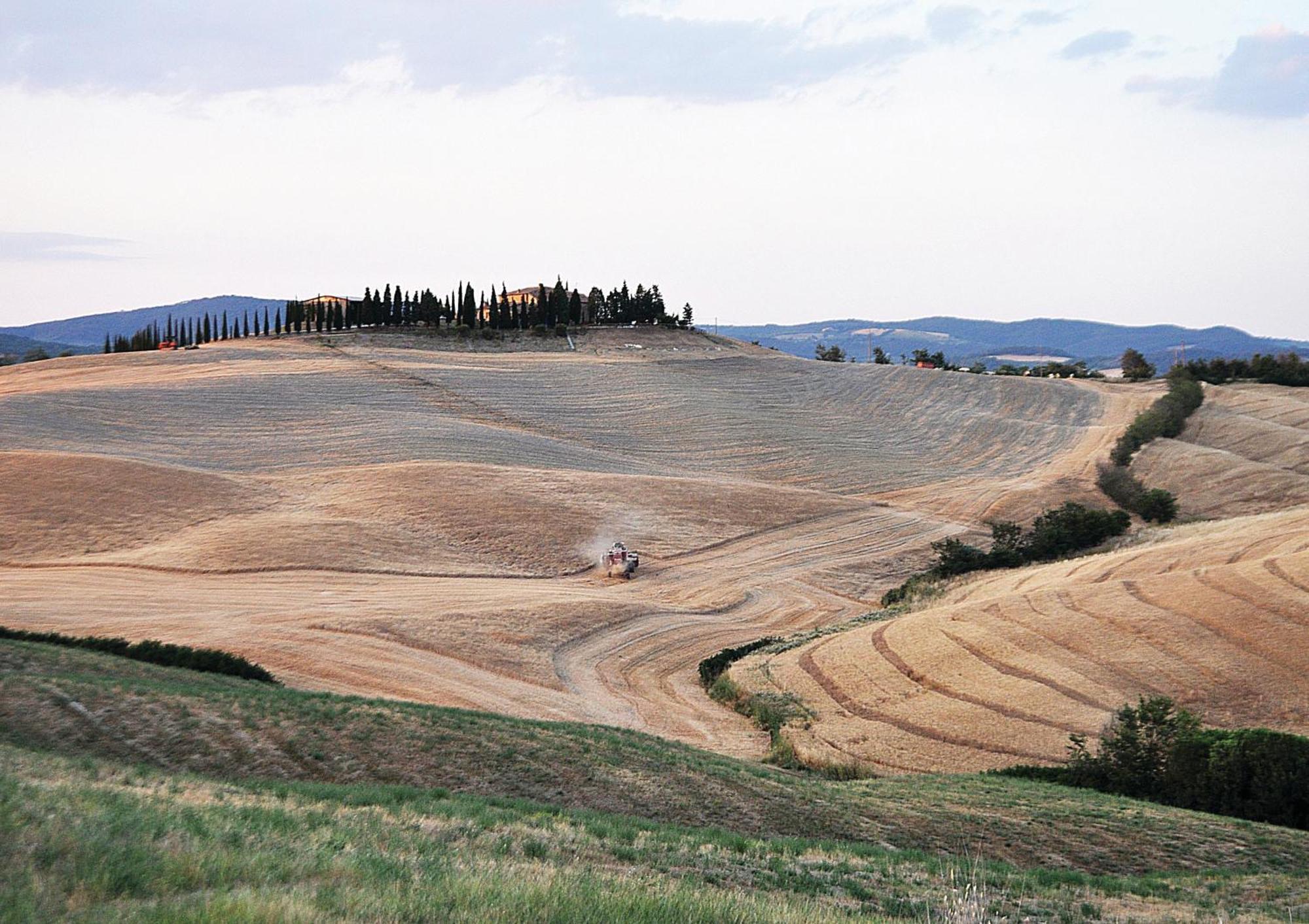 Agriturismo Bonello Pienza Exterior foto